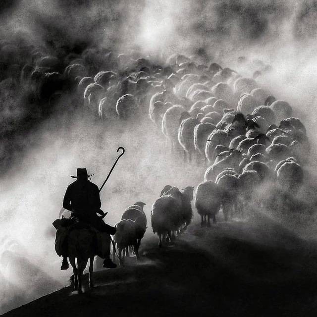 清风